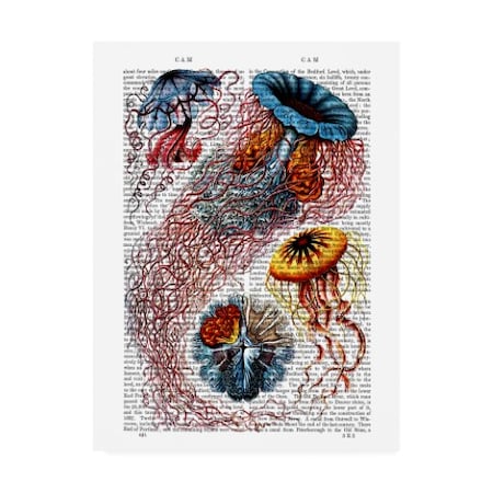 Fab Funky 'Sea Anemone' Canvas Art,14x19